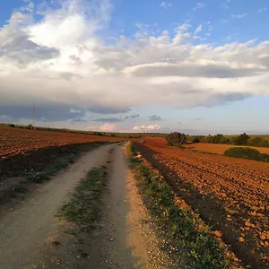 Сasa de vacaciones Casa Museo Quintín, Gerena